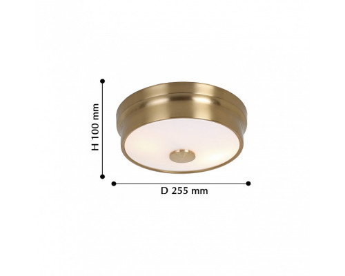 Накладной светильник Favourite Pannikin 2375-2C