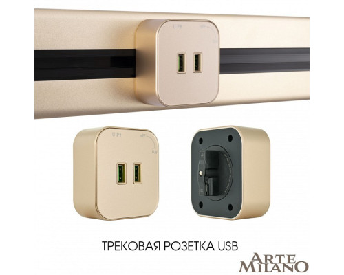 Розетка 2xUSB на треке Arte Milano Am-track-sockets 380022TS/USBx2 Gold