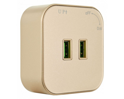 Розетка 2xUSB на треке Arte Milano Am-track-sockets 380022TS/USBx2 Gold