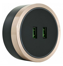 Розетка 2xUSB на треке Arte Milano Am-track-sockets 380066TS LED/USBx2 Gold