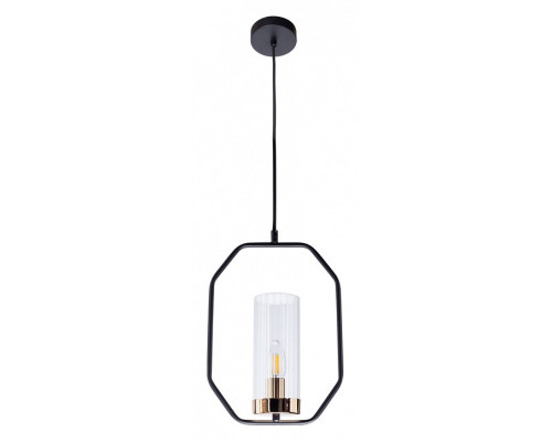 Подвесной светильник Arte Lamp Celaeno A7004SP-1BK