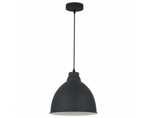 Подвесной светильник Arte Lamp Braccio A2055SP-1BK