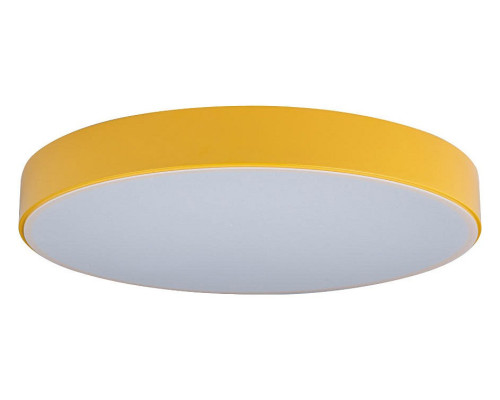 Накладной светильник Loft it Axel 1 10002/24 Yellow