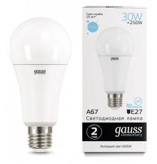 Лампа светодиодная Gauss Led Elementary A67 E27 30Вт 6500K 73239