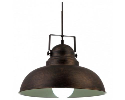 Подвесной светильник Arte Lamp Martin A5213SP-1BR