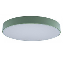 Накладной светильник Loft it Axel 1 10002/24 Green