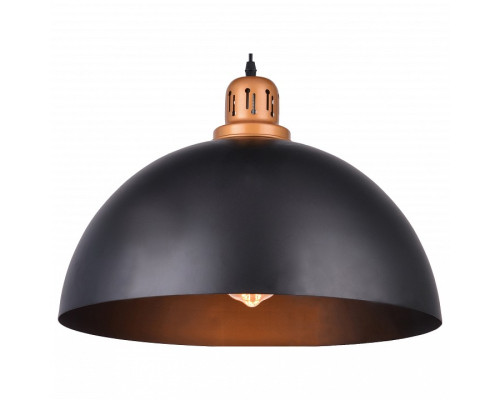 Подвесной светильник Arte Lamp Eurica A4249SP-1BK