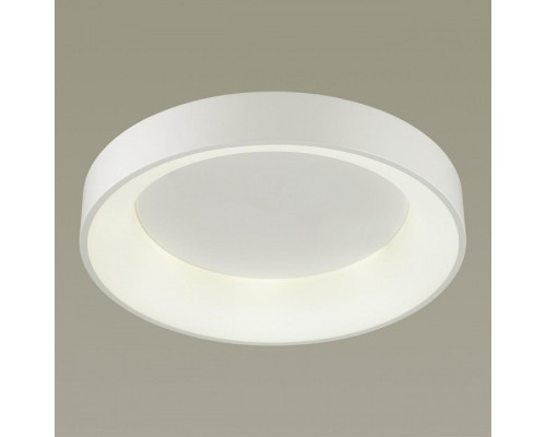 Накладной светильник Odeon Light Sole 4062/50CL