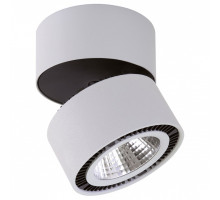 Светильник на штанге Lightstar Forte Muro LED 214830