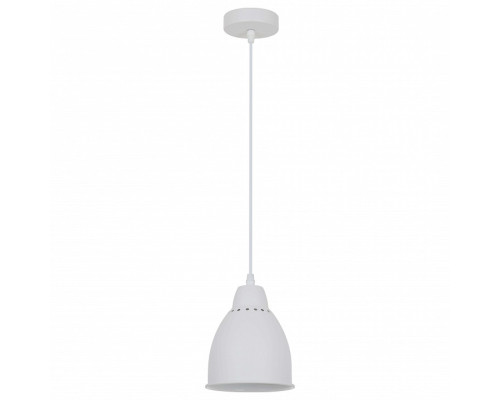 Подвесной светильник Arte Lamp Braccio A2054SP-1WH