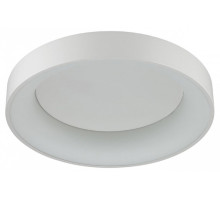 Накладной светильник Odeon Light Sole 4062/50CL