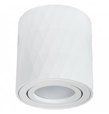 Накладной светильник Arte Lamp Fang A5559PL-1WH