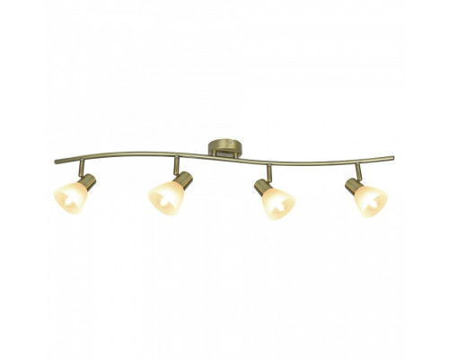 Спот Arte Lamp Parry A5062PL-4AB