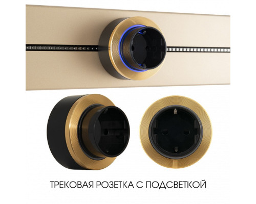 Розетка с заземлением на треке Arte Milano Am-track-sockets-39 397952TS/ES Gold