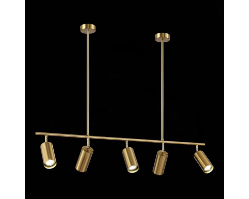 Светильник на штанге ST-Luce Sormano SL1206.303.05