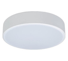 Накладной светильник Loft it Axel 1 10002/12 White