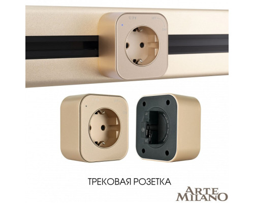 Розетка с заземлением на треке Arte Milano Am-track-sockets 380022TS/ES Gold