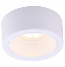 Накладной светильник Arte Lamp Effetto A5553PL-1WH