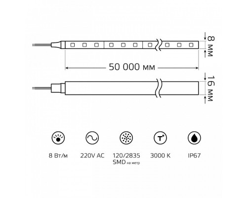 Комплект с лентой светодиодной Gauss Black NEON 220V 311000108