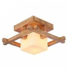 Накладной светильник Arte Lamp Woods A8252PL-1BR