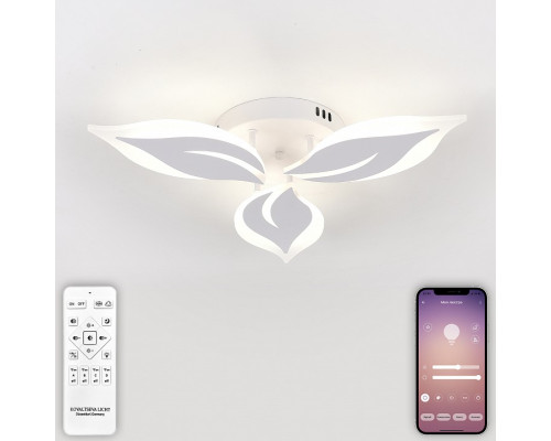 Потолочная люстра Natali Kovaltseva Sirius LED LAMPS 81164