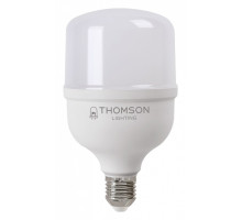 Лампа светодиодная Thomson T100 E27 30Вт 6500K TH-B2364