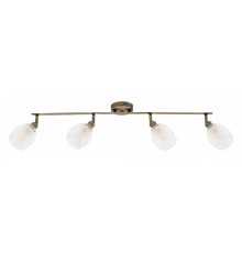 Спот Arte Lamp Biham A3184PL-4AB