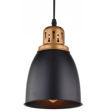 Подвесной светильник Arte Lamp Eurica A4248SP-1BK