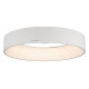 Подвесной светильник Arlight SP-TOR-RING-HANG-R600-42W Day4000 (WH, 120 deg) 022148(1)