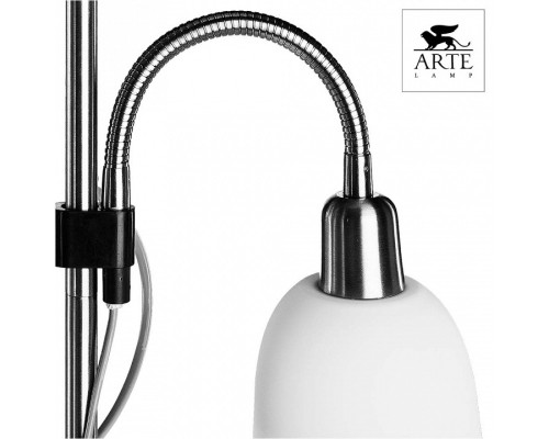 Торшер с подсветкой Arte Lamp Duetto A9569PN-2SS