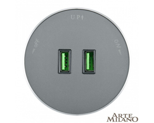 Розетка 2xUSB на треке Arte Milano Am-track-sockets 380011TS/USBx2 Grey