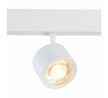 Светильник на штанге ST-Luce Vedo ST353.536.06