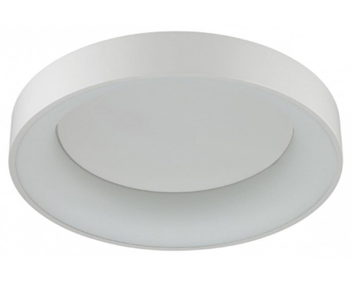 Накладной светильник Odeon Light Sole 4066/40CL