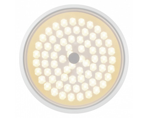 Накладной светильник Freya Cells FR10012CL-L24W