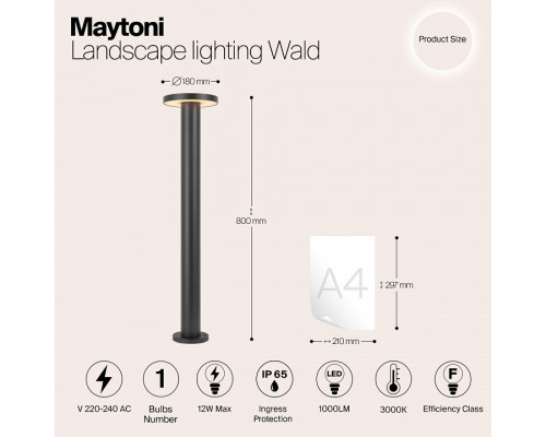 Наземный низкий светильник Maytoni Wald O420FL-L12GF1