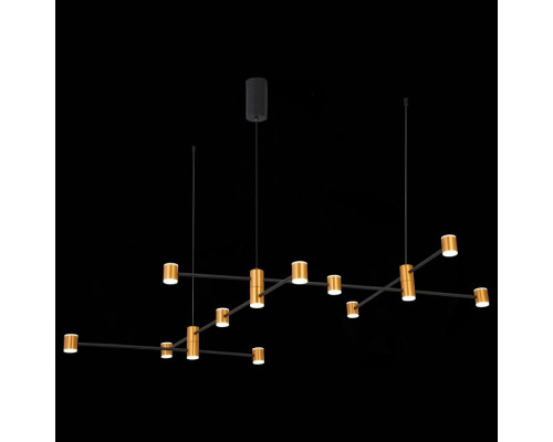 Подвесной светильник ST-Luce Anichita SL1596.423.22