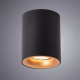 Накладной светильник Arte Lamp Torre A1532PL-1BK