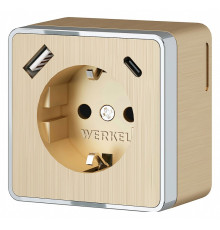 Розетка с заземлением, шторками и USB Werkel Gallant шампань рифленый W5071710