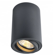 Накладной светильник Arte Lamp Sentry A1560PL-1BK