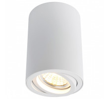 Накладной светильник Arte Lamp Sentry A1560PL-1WH