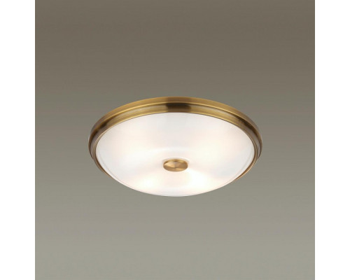 Накладной светильник Odeon Light Pelow 4956/4