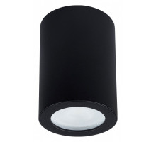 Накладной светильник Arte Lamp Tino A1468PL-1BK