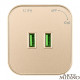 Розетка 2xUSB на треке Arte Milano Am-track-sockets 380022TS/USBx2 Gold