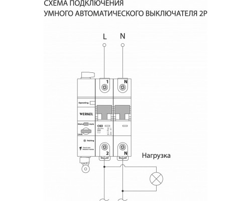 Автоматический выключатель 2P с Wi-Fi Werkel  W1002P6301