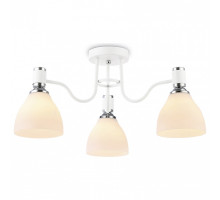 Потолочная люстра Ambrella Light TR TR303302