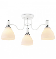 Потолочная люстра Ambrella Light TR TR303302