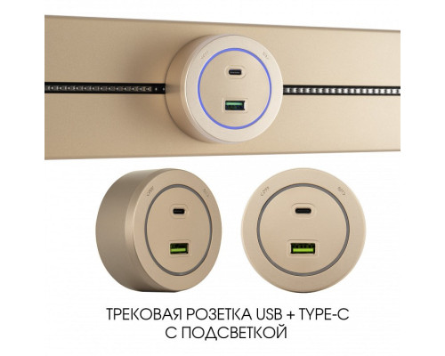 Розетка USB и type C на треке Arte Milano Am-track-sockets-39 399731TS/USB-Type-C Gold