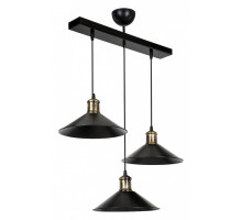 Подвесной светильник TopLight Delilah TL1606H-03BK