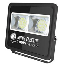 Настенно-потолочный прожектор Horoz Electric Lion-100 HRZ11100043