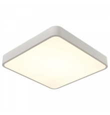 Накладной светильник Arte Lamp Scena A2663PL-1WH